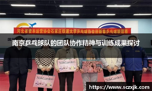 南京乒乓球队的团队协作精神与训练成果探讨